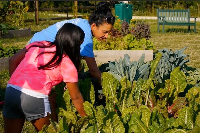 Deaver farm at Lankenau Medical Center worker teaching child